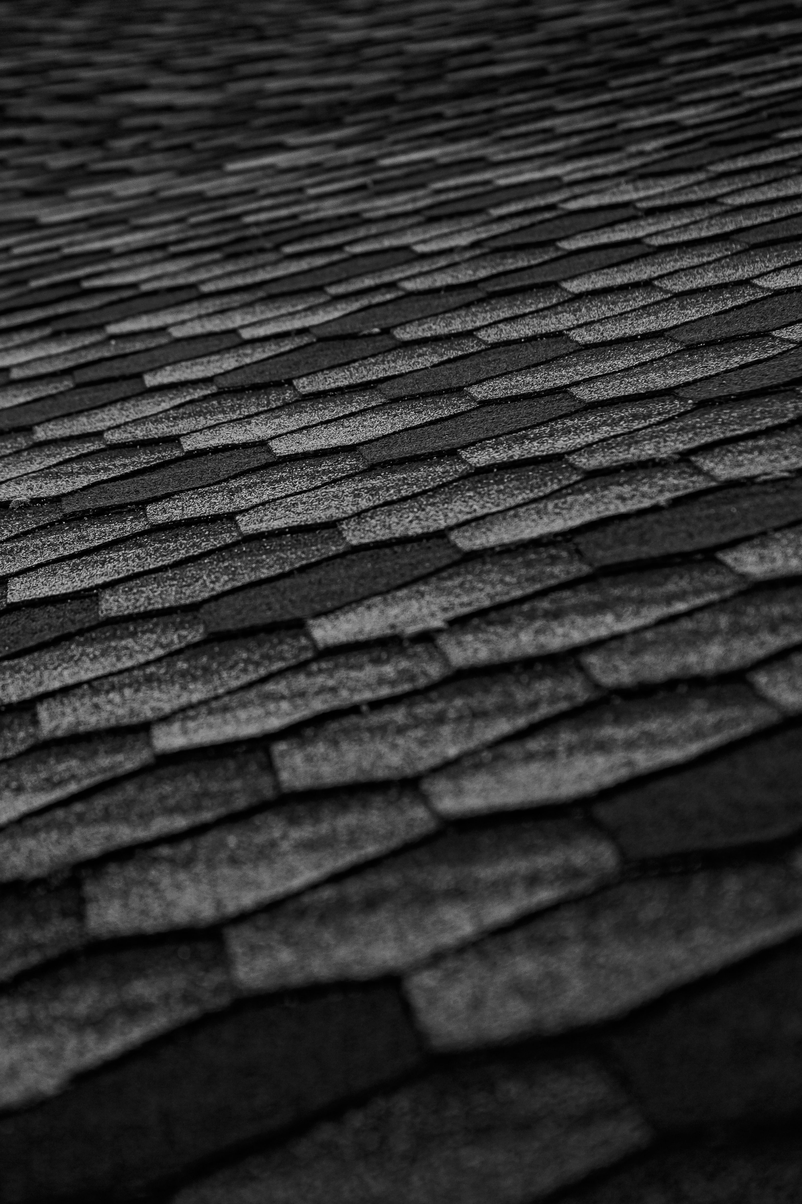 Complete roof replacement project on commercial building